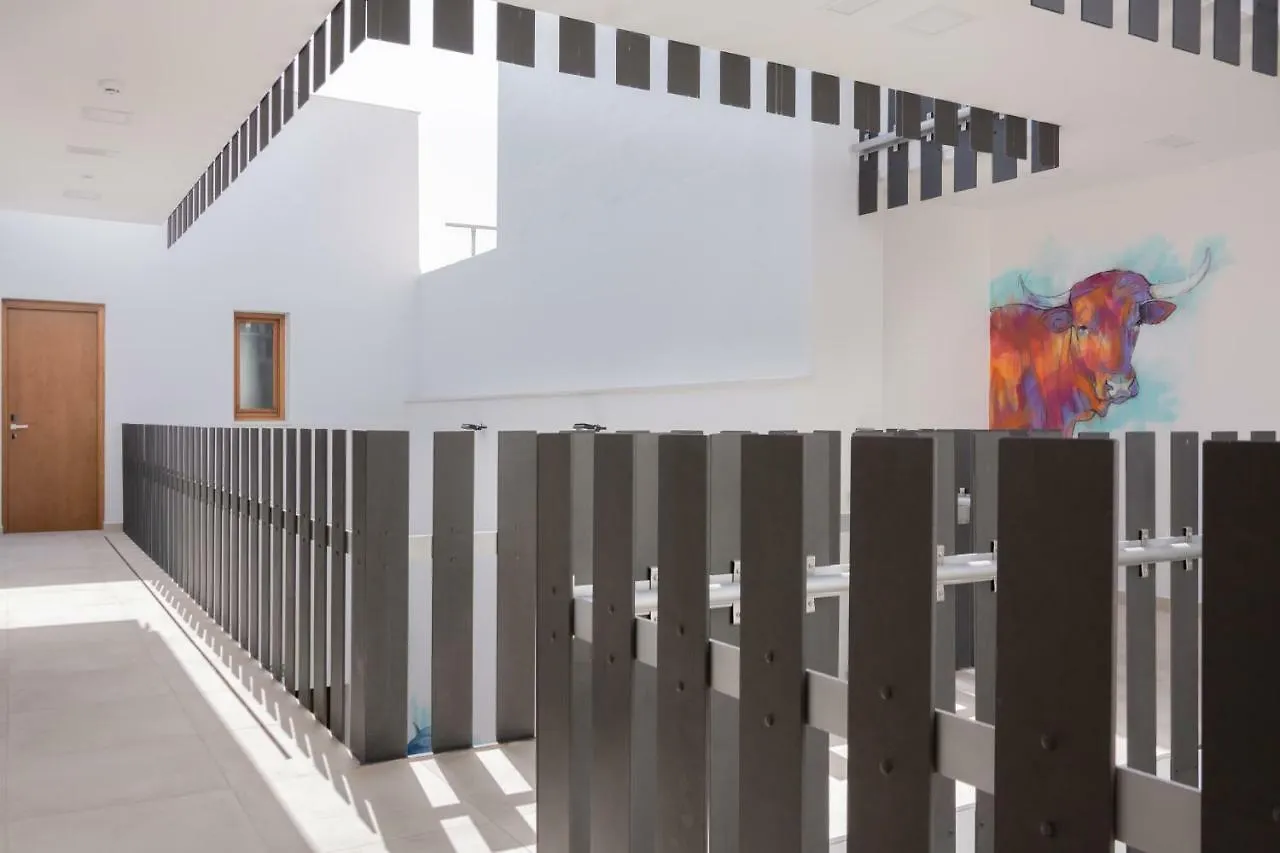 La Mina Hostal Boutique Conil De La Frontera 3*,